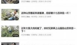 华南农业爆料事件视频,揭开养殖场惊人内幕